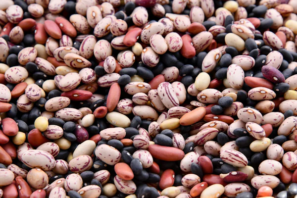 Assorted coloured dried beans