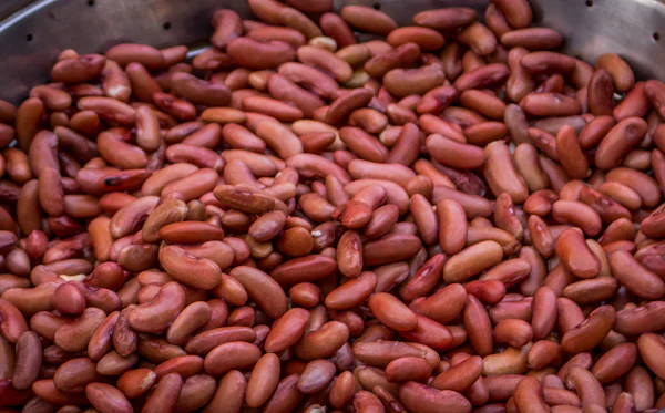 A pile of dried red kidney beans
