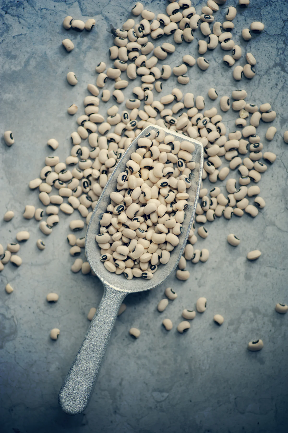 White beans on a grey kitchen scraper